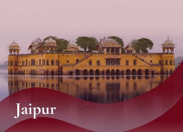 Rosymehta Escorts Services in Jaipur